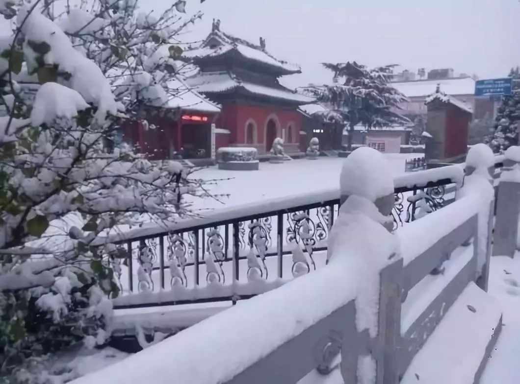 今早打开窗来,雪景美美的,河南各地雪景图来了!