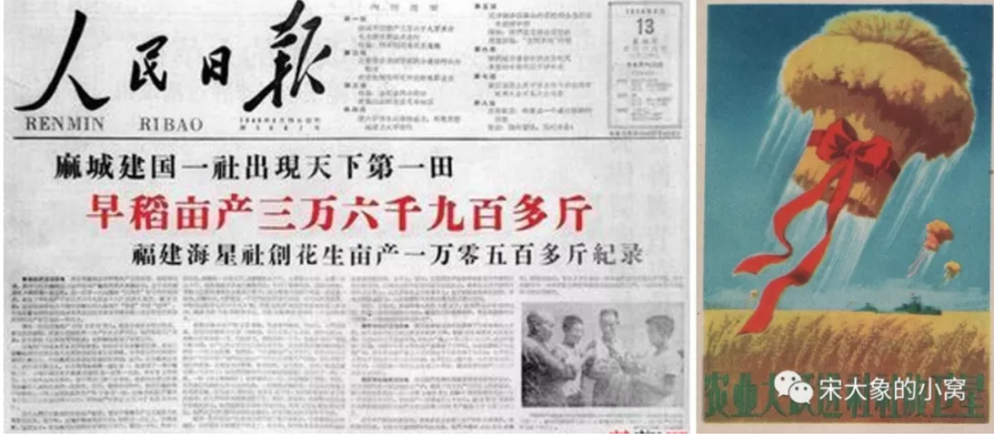 50多年前亩产36900多斤历史毕竟不是小女孩