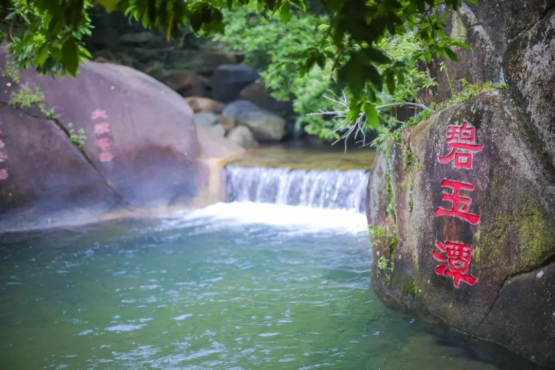 抓住春节的小尾巴,去龙岗打卡最美的景点吧!