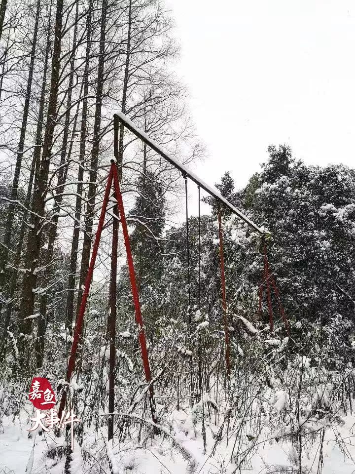 嘉鱼多少人口_周嘉鱼林逐水图片(2)