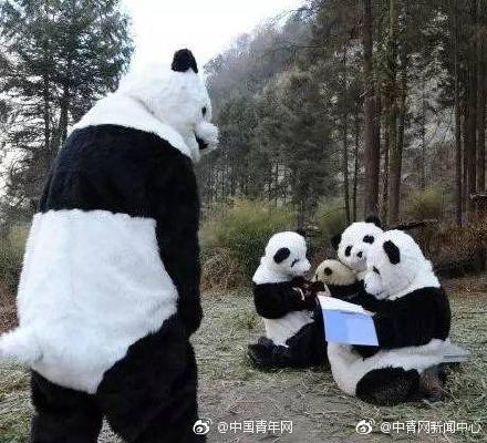 大熊貓發現150周年，今夕熊貓「奶爸」圖片對比，走進令人羨慕的熊貓飼養員 未分類 第8張