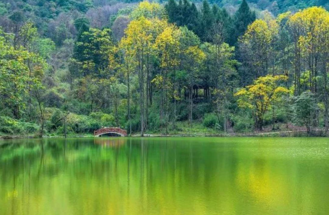 成都边上这座与世无争的小城终于通高铁了,绝美风景要藏不住了!