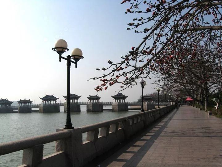 不容错过的 便是这一条绿色的文化长廊 滨江长廊,潮州市的标志性景点