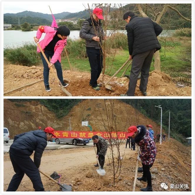 新年添新绿蒙山县各乡镇积极开展义务植树活动