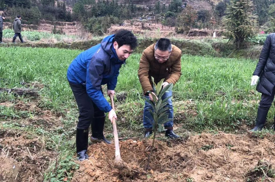 植树现场,大家脚穿雨靴,扛起锄头,在泥泞的山地上挥锹铲土,扶苗填坑