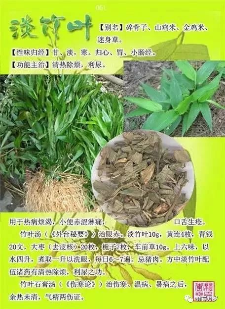 300种中草药图谱 珍藏版