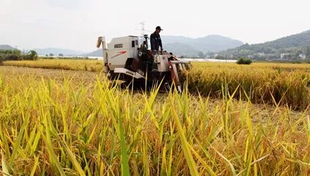 繁昌经济GDP总_2018年繁昌县经济运行总体平稳