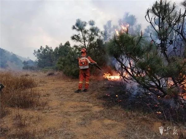 中国云南大理失踪人口_剧集 失踪人口 云南开机 打造中国式 迷失