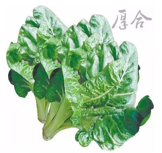 潮汕人正月初七吃七样羹每样菜都有好意头