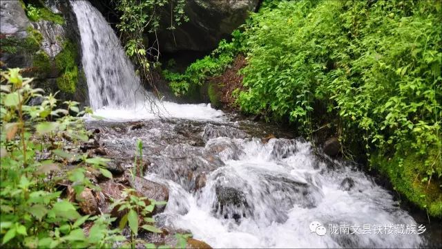 【白马情中国梦】这就是文县白马河景区,让人流连忘返的地方!