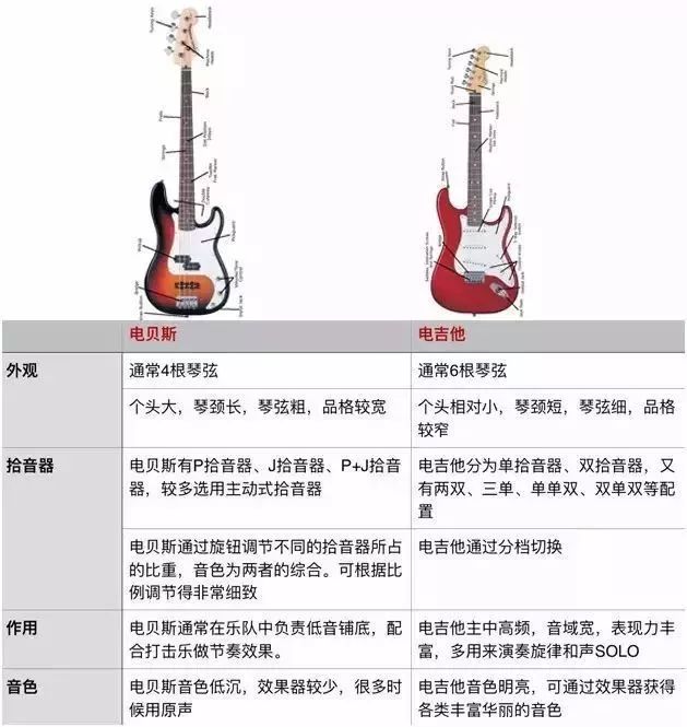 电吉他vs电贝斯!你知道如何区分它们吗?