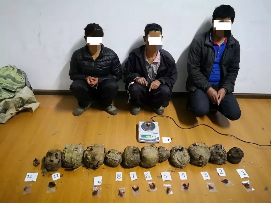 腾冲市公安局禁毒大队在盈江县支那乡破获一起毒品案,缴获毒品鸦片21