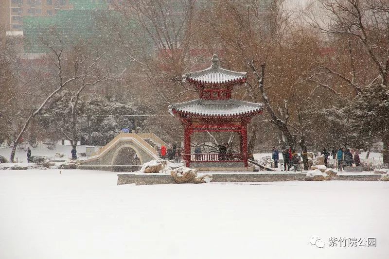 今天的雪下的有点大,刷爆了大家的朋友圈,银装素裹下的紫竹院公园是