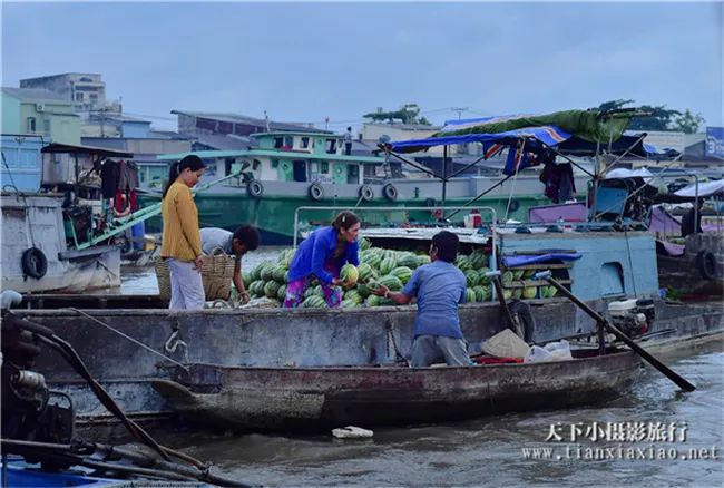 7:芹苴市-胡志明早上拍摄水上市场,水上人家,乘车