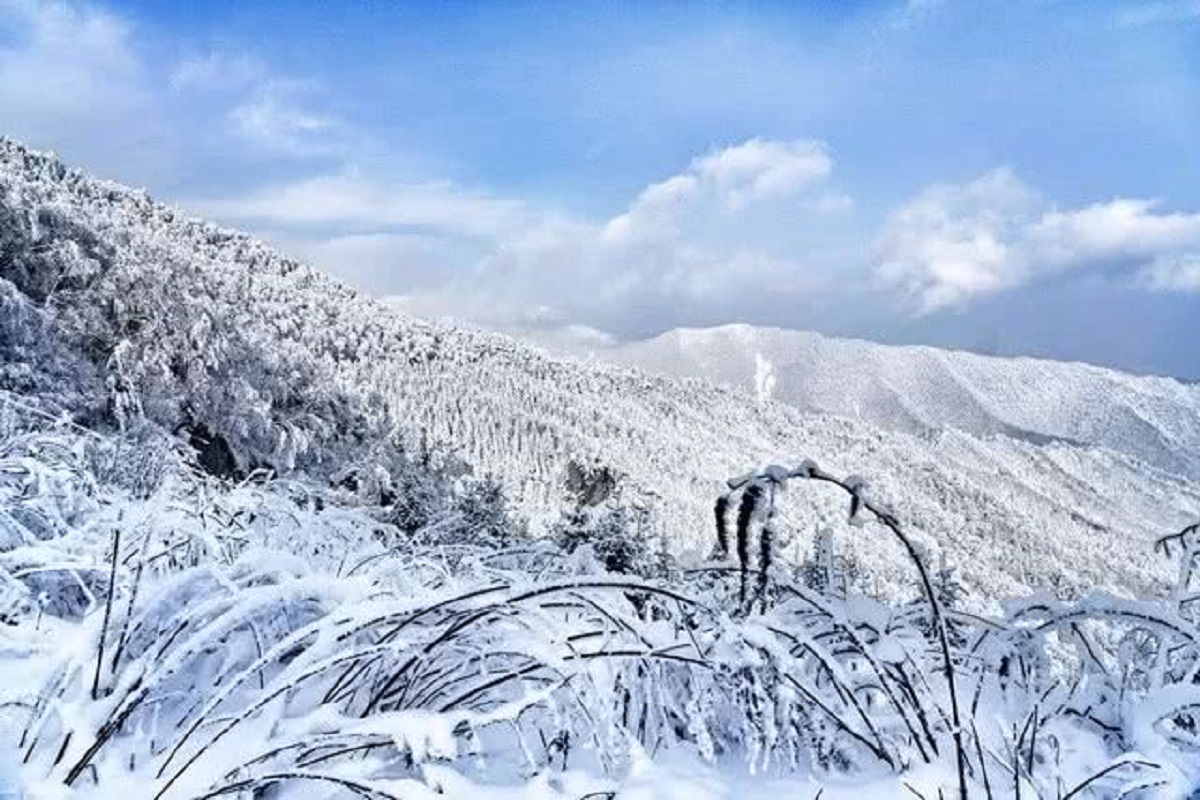 秦岭雪景 宛如仙境 你见过吗?