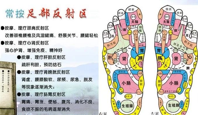 科学家研究发现,那些能光脚跑的跑者,他们的脚部和踝关节的力量是很强