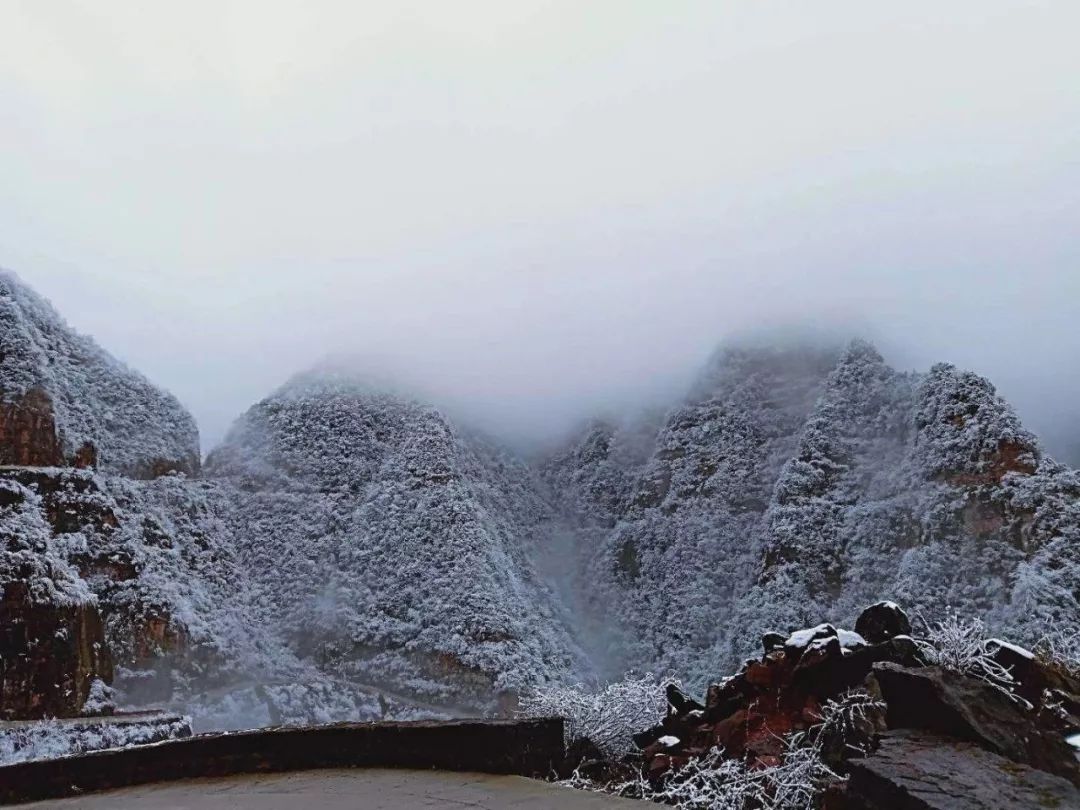 泸州古蔺又下雪啦,快来看雪景!