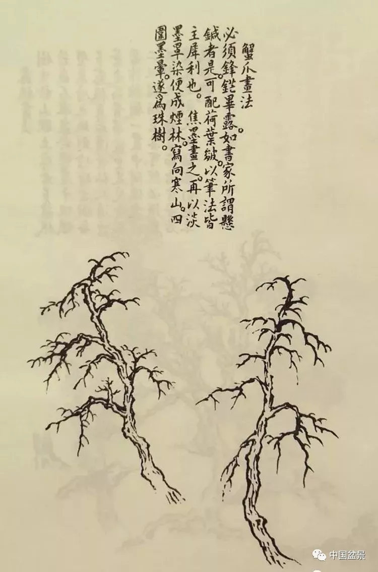 《芥子园画谱》还对枝叶的画法作了详尽的介绍,其中的鹿角,蟹爪枝法