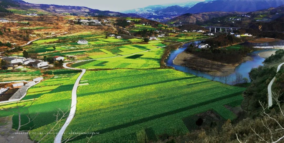 龙门村人口_鲤鱼跃龙门图片