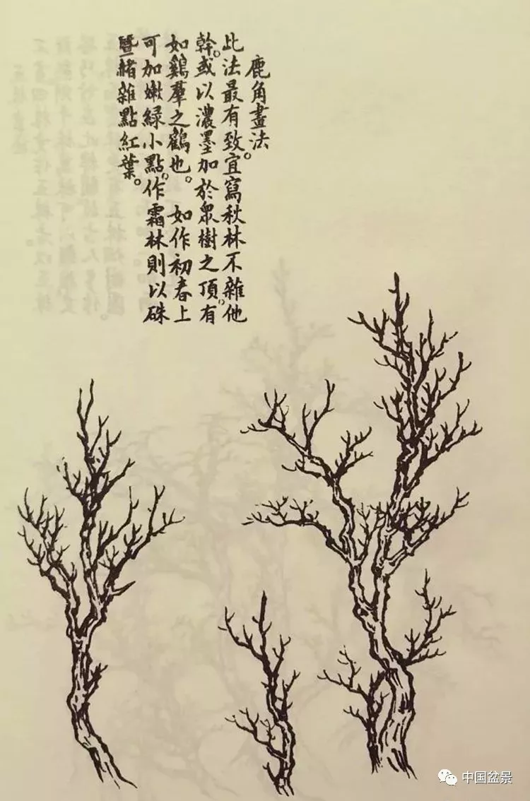 《芥子园画谱》还对枝叶的画法作了详尽的介绍,其中的鹿角,蟹爪枝法