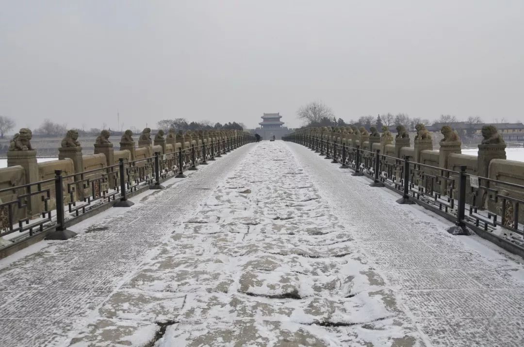 绒花朵朵(尚天首/摄)雪迎春(网友薇薇/摄)雪景(赵晨雪/摄(郑直/摄)小