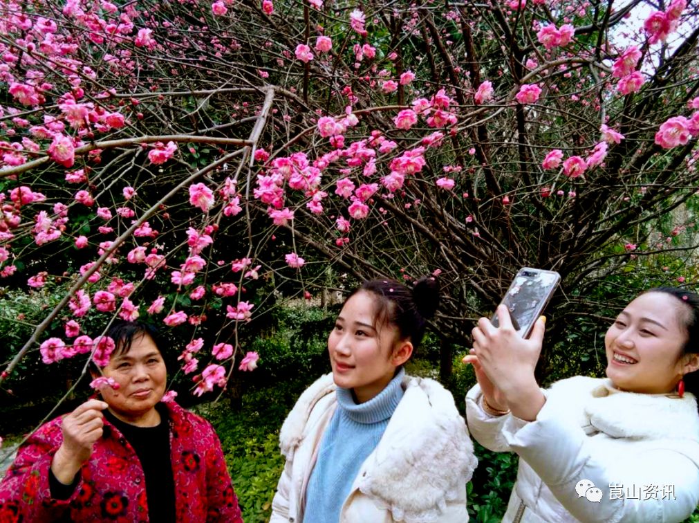 崀山梅花悄然怒放,引得各龄美女纷纷前往!约约约