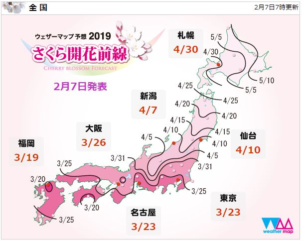 最新更新 部分地区花见日提前 2019日本樱花季最全日程表 经典赏樱地推荐 公园