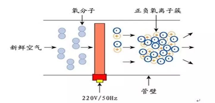 电离辐射灭菌法的原理是什么_电离辐射是什么