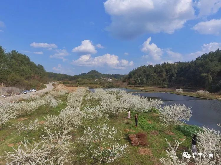 冬去春来喜相逢 欢天喜地迎新春 信丰县新田镇坪地山村 举办〃2019年