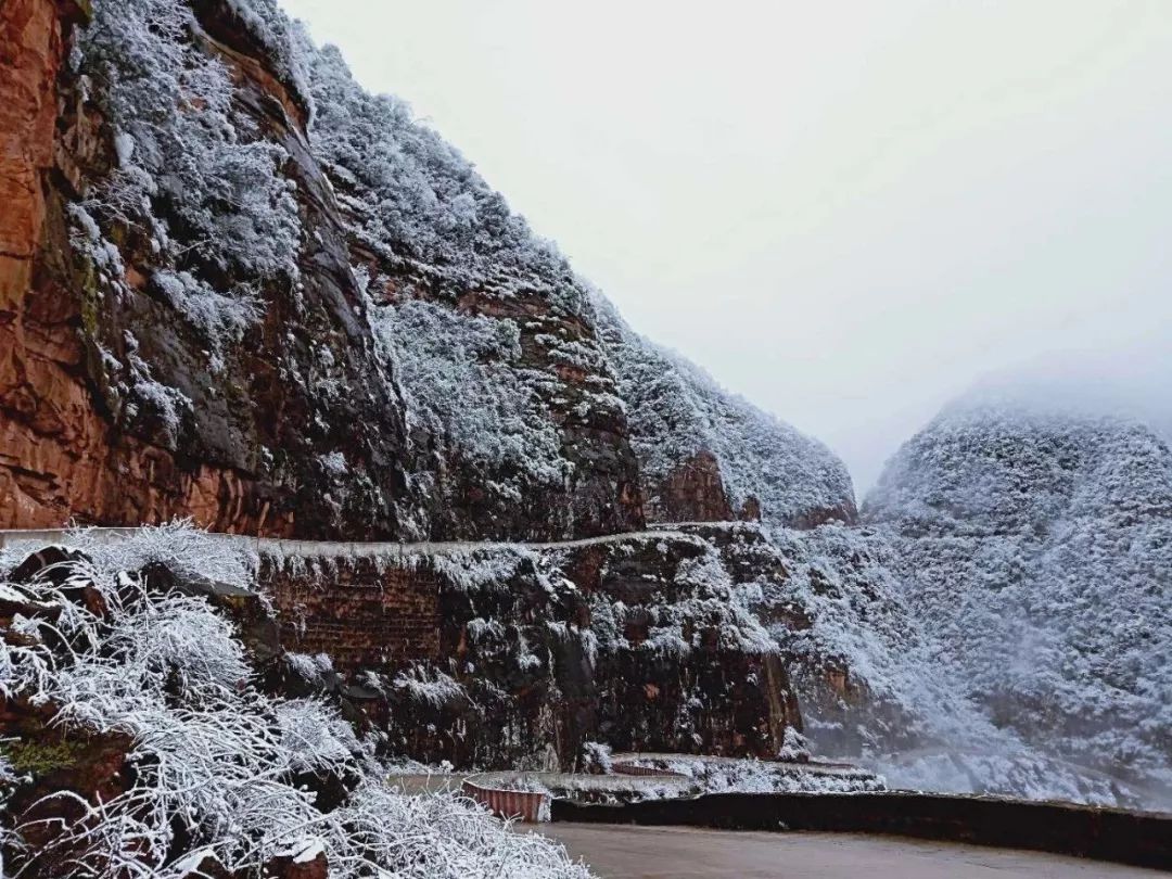 泸州古蔺又下雪啦,快来看雪景!