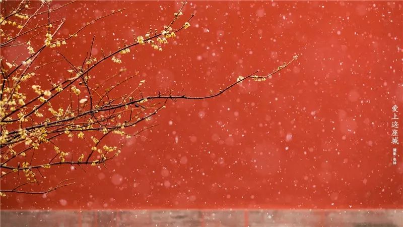 春雪(唐·东方虬)