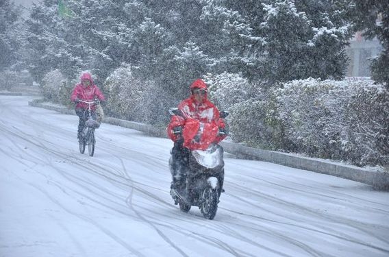 【温馨提示】下雪路滑,安全出行_雪天