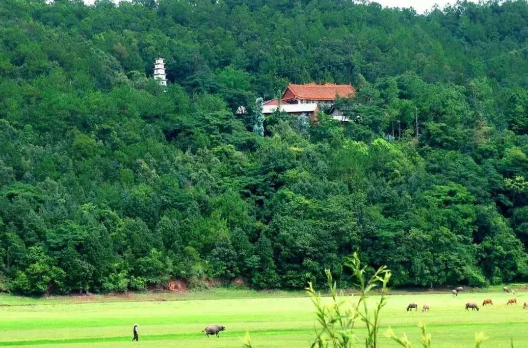 毛板桥水库风景区是南华沙桥镇的一处绝美景致,碧水绿妆,环境优雅