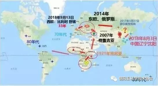 非洲人口组成_由动物组成的非洲地图