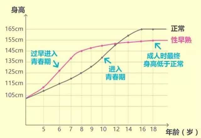 这个症状表明孩子出现性早熟_性激素