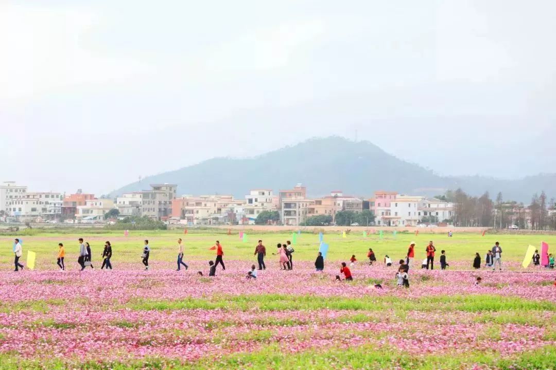 大濠冲村人口