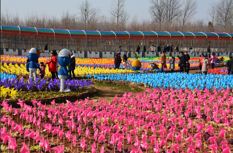 听说春节假期很多西峡人都来丹水,盘它…_花海