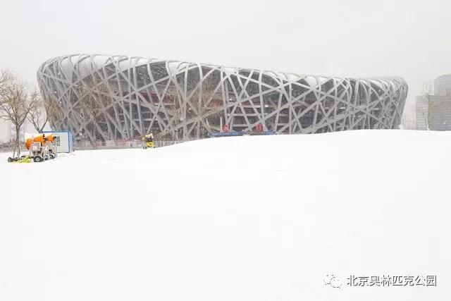 鸟巢静静地矗立在雪中,使人感觉别有一番风味.