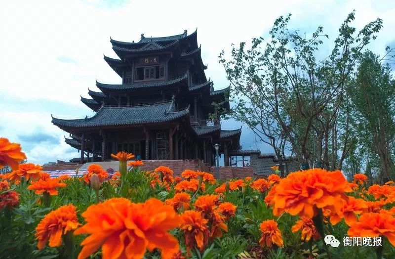 衡阳又一夜景成"网红打卡地"!好多人顶风冒寒"