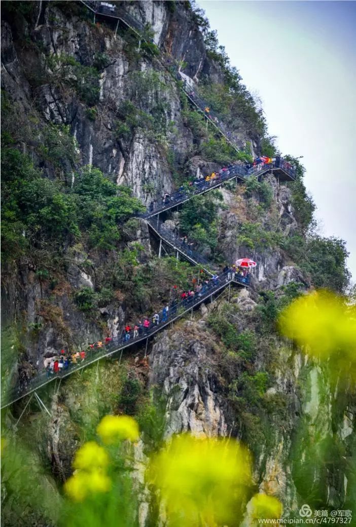 满园春色引来阳春及周边县市的无数游客前来观赏,景区内的玻璃栈道上