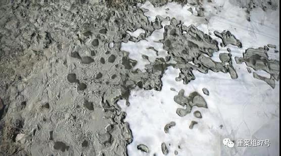 内蒙古摩楞河污染调查丨有牧民称两年死了百头羊