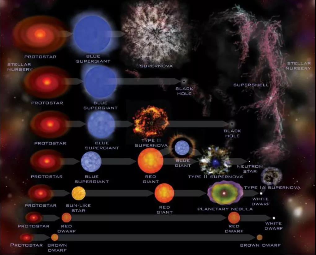 在赫罗图上,红巨星是巨大的非主序星,光谱属于k或m型