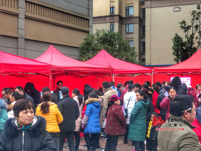 章迎春 通讯员 李昕)2019年长沙市岳麓区首场"春风行动"大型招聘会在