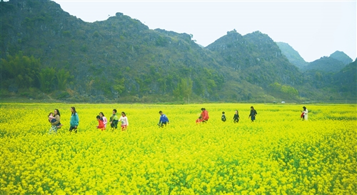 「網紅」景點、文化民俗帶熱西部旅遊 旅遊 第1張