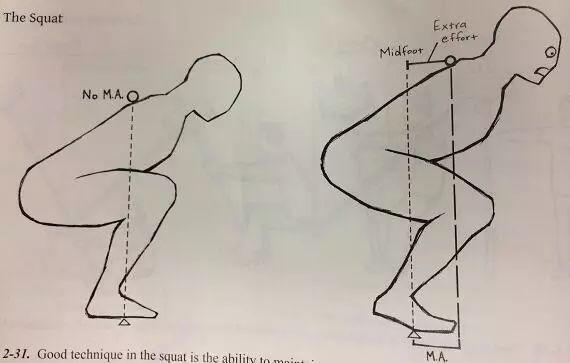 深蹲的几何透视分析