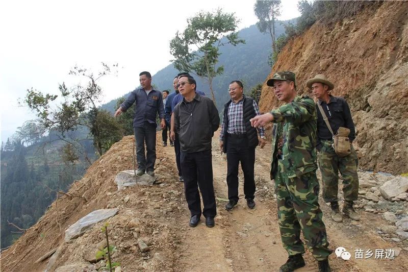 县领导李沙才,吴显贵,李保和,吴红昌和国土局,住建局主要领导随同调研