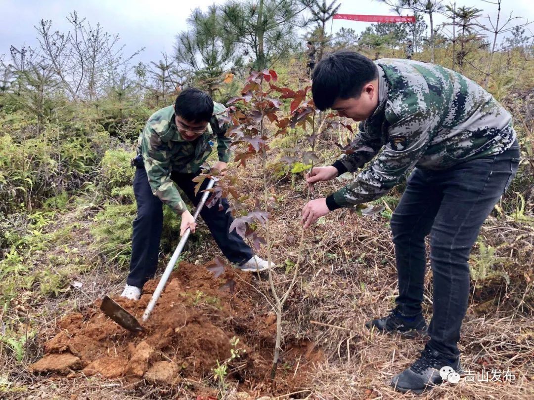 人勤春来早 植树正当时 ——大吉山镇开展义务植树活动