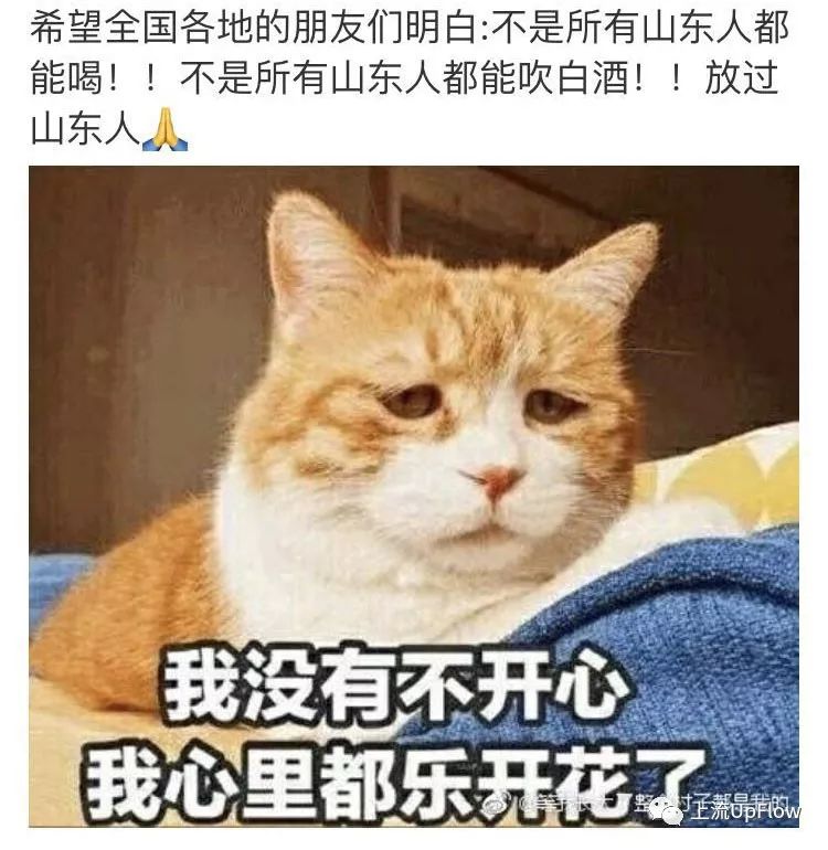 山东酒桌文化，能让你对生命有更深的认识—“活着”回来不容易啊！