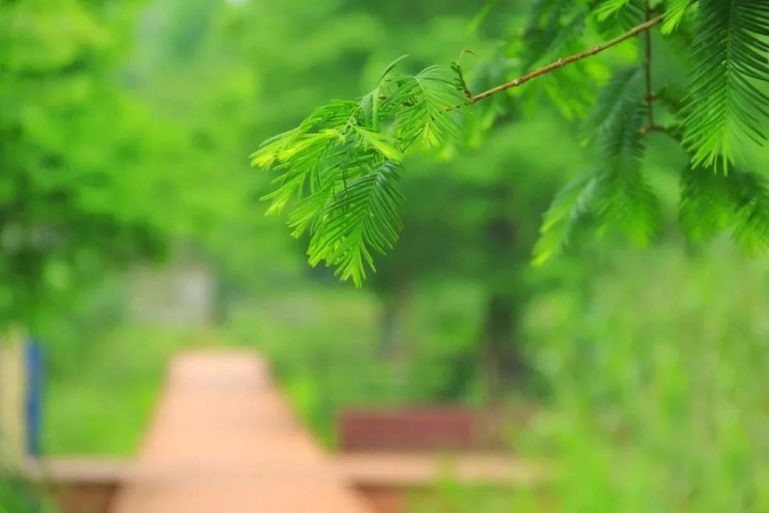 高贵却又不贵,气质从小抓