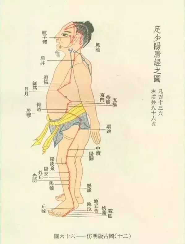 【取穴方法】胆经在下肢的巡行路线是沿股,下肢外侧中线下行至小趾,次